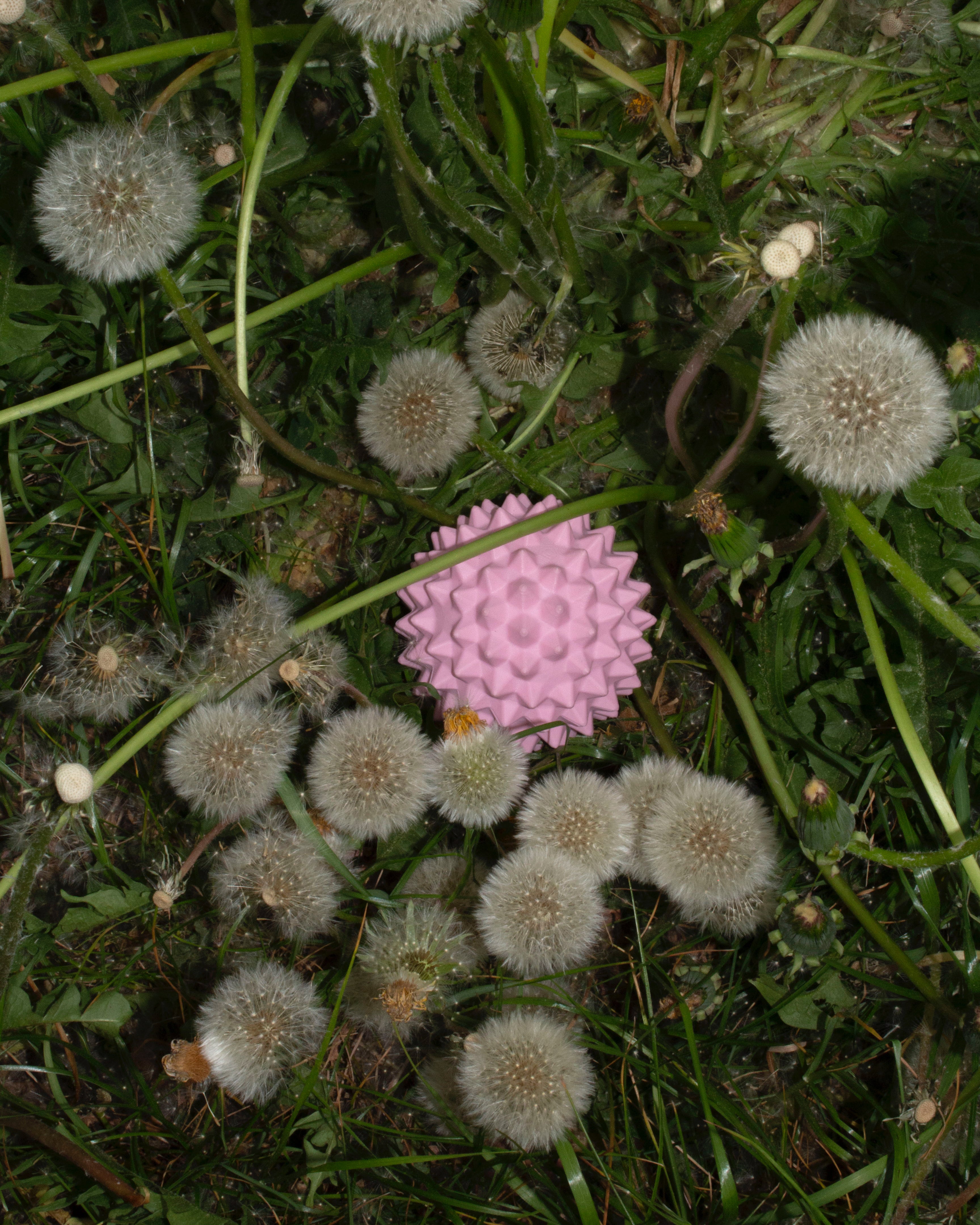 spiky box