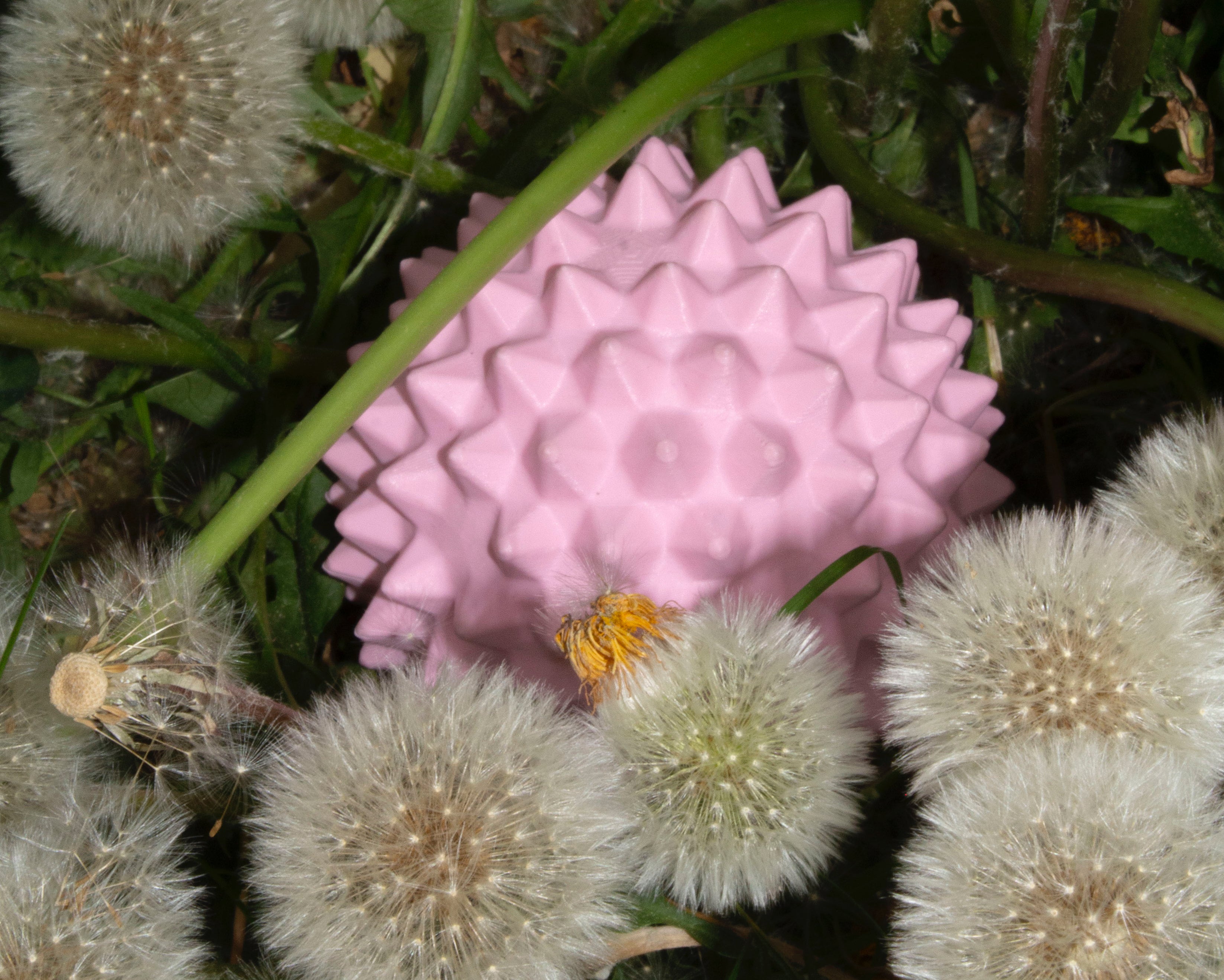 spiky box