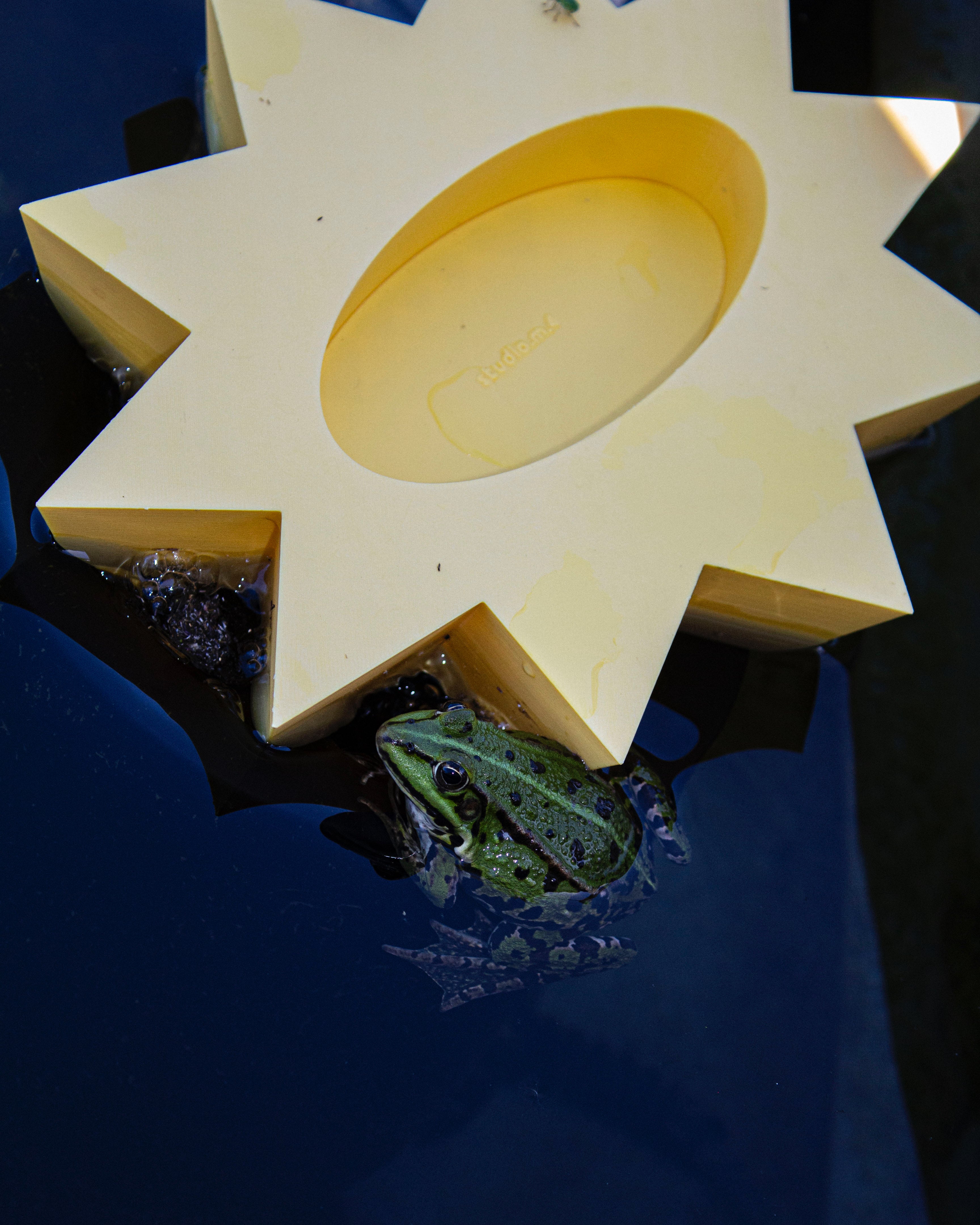 starbowl